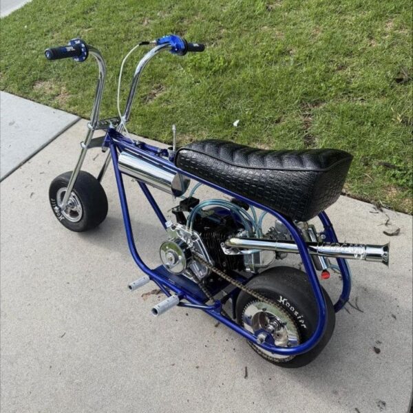 LAX GTS Custom Mini Bike